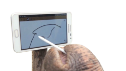 Elephant Tablet Meme Template