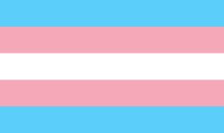 Transgender flag Meme Template