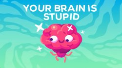 Your brain is stupid Meme Template