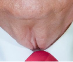 Donald Trump Neck Meme Template