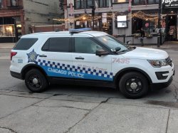 police car Meme Template