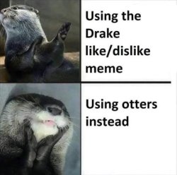 Otter Hotline Bling Meme Template