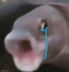 Crying poggers fish Meme Template