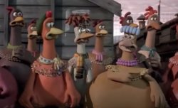 Chicken run holiday Meme Template