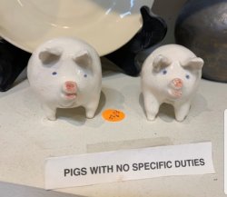 Pigs with no specific purpose Meme Template