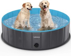 Large dog water bowl Meme Template