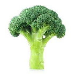 Broc Meme Template