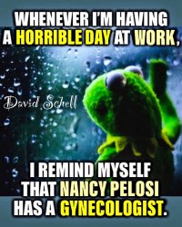 David Schell Kermit Nancy Pelosi Meme Template