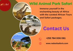 Wild Animal Park Safari Meme Template