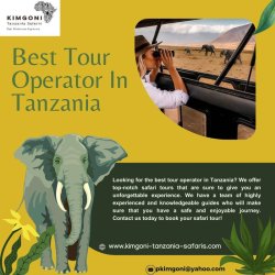 Best Tour Operator In Tanzania Meme Template