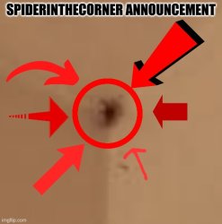 spiderinthecorner announcement Meme Template