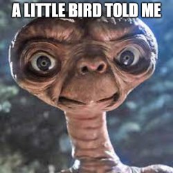 ET Bird Meme Template