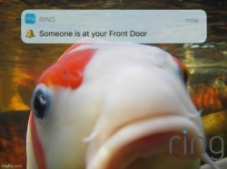 Someone is at your front door Meme Template