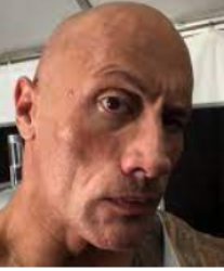 the rock Meme Template
