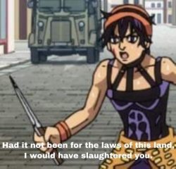 had it not been for the laws of this land,I woulda slaughtered u Meme Template