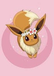 Cute eevee Meme Template
