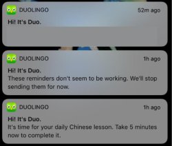 Duolingo 3 Notification Meme Template