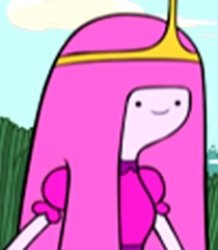 Princess Bubblegum Meme Template