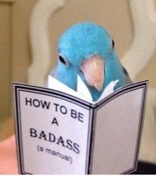 Bird reading Meme Template