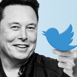 Elon Twitter bird Meme Template