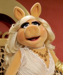 Miss Piggy Meme Template