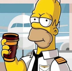 Homer as a pilot Meme Template
