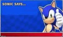 Sonic Says Meme Template