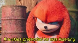 Knuckles pretended he was listening Meme Template