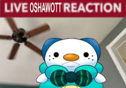 Live,Oshawott reaction Meme Template