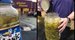 pickle Meme Template