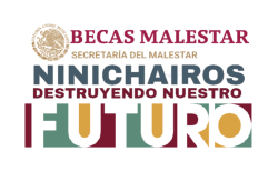 Becas malestar ninichairos destruyendo nuestro futuro Meme Template