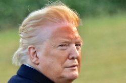 Donald Trump DJT Orange face paint clown traitor pedophile Meme Template
