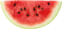 watermelon Meme Template