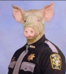 Safely Pig Hardcode Meme Template