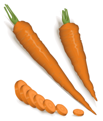 Three carrots Meme Template