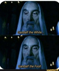 saruman "gandalf the fool" Meme Template