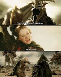 Eowin Haley fights the Witch King Meme Template