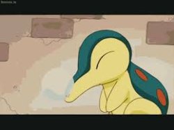 I sleep (cyndaquill edition) Meme Template