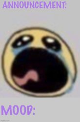 Bloomys announcement template Meme Template