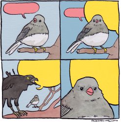 annoyed bird Meme Template