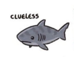 Clueless Shark Meme Template
