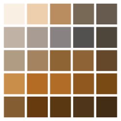 Brown Paint Chip Meme Template