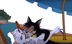 Butch kissing cat Meme Template