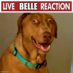 Live Belle Reaction Meme Template