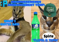 meowmere's announcement temp Meme Template