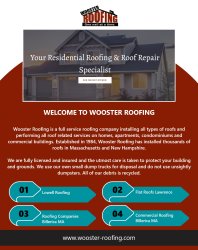 Lowell Roofing Meme Template