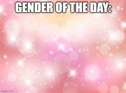 Gender of the day Meme Template