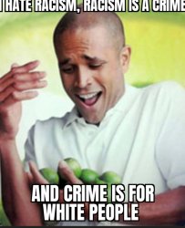 I hate racism, racism is a crime and crime is for white people Meme Template