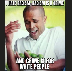 I hate racism, racism is a crime and crime is for white people Meme Template