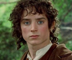 Frodo Baggins | The One Wiki to Rule Them All | Fandom Meme Template